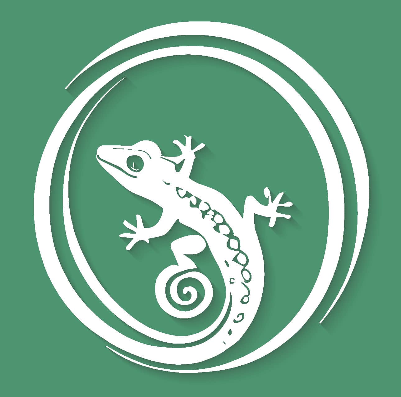 Gecko Phuket